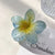 Egg Flower Grab Clip Advanced Gradient Flower Large Grab Clip Hair Accessories Super Fairy Head Disc Hair Headwear Shark Clip