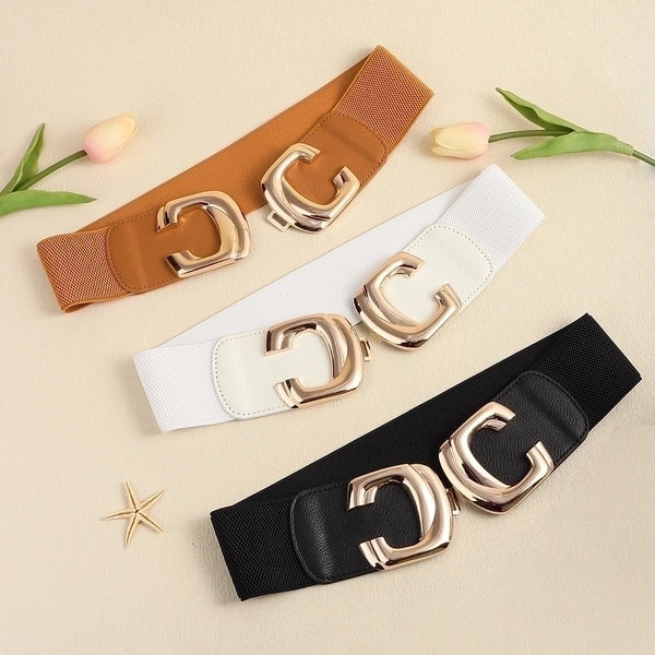 Elegant Glam Geometric Pu Leather Alloy Elastic Band Women's Woven Belts