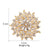 Elegant Pin Flower Alloy Inlay Zircon Women's Brooches