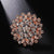 Elegant Pin Flower Alloy Inlay Zircon Women's Brooches