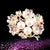 Elegant Pin Star Flower Snowflake Imitation Pearl Alloy Rhinestone Women'S Brooches