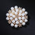 Elegant Pin Star Flower Snowflake Imitation Pearl Alloy Rhinestone Women'S Brooches