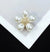 Elegant Simple Style Pin Rose Flower Alloy Plating Women's Brooches