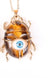 Ethnic Style Insect Eye Crystal Wholesale Pendants Jewelry Accessories