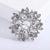 Ethnic Style Shiny Pin Flower Alloy Inlay Crystal Glass Women'S Brooches