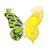 Fairy Style Original Design Cowboy Style Butterfly Alloy Stoving Varnish Plating Women's Brooches