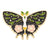 Fairy Style Original Design Cowboy Style Butterfly Alloy Stoving Varnish Plating Women's Brooches