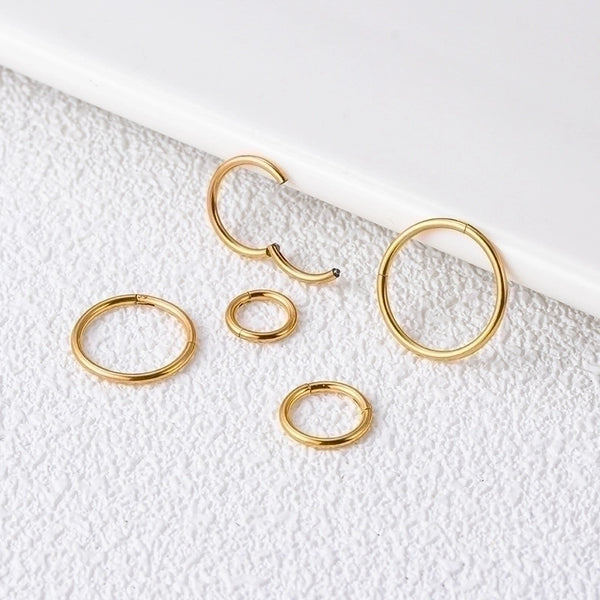 1 Piece Nose Rings & Studs Fashion Circle Pure Titanium Plating