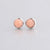 Fashion Geometric Stainless Steel Inlay Earrings 1 Pair