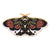 Fashion Pin Butterfly Alloy Stoving Varnish Women'S Brooches