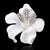 Fashion Pin Flower Alloy Plating Women'S Brooches