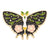 Fashion Pin Flower Butterfly Alloy Stoving Varnish Unisex Brooches