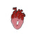 Fashion Pin Heart Alloy Stoving Varnish Unisex Brooches