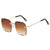 Fashion Resin Women's Sunglasses