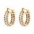 Fashion Round Plating Stainless Steel Zircon Gold Plated Earrings