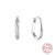 Fashion Round Silver Inlaid Zircon Earrings 1 Pair