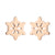 Fashion Snowflake Stainless Steel Plating Ear Studs 1 Pair