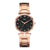 Fashion Stainless Steel Alloy Women's Watches