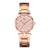 Fashion Stainless Steel Alloy Women's Watches