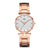 Fashion Stainless Steel Alloy Women's Watches