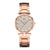 Fashion Stainless Steel Alloy Women's Watches