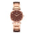 Fashion Stainless Steel Alloy Women's Watches