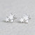 Fashion Star Stainless Steel No Inlaid Earrings Ear Studs