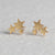 Fashion Star Stainless Steel No Inlaid Earrings Ear Studs