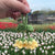 Finished [Lily Of The Valley Pendant]  Wool Flower Crocheted Key Chain Bag Pendant Blue Bell Flower Wholesale Handmade