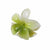 Guanyang  New Arrival  Frosted Egg Flower Hair Clip Barrettes Back Head Female High Sense Shark Clip Hair Accessories