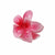 Guanyang  New Arrival  Frosted Egg Flower Hair Clip Barrettes Back Head Female High Sense Shark Clip Hair Accessories