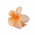 Guanyang  New Arrival  Frosted Egg Flower Hair Clip Barrettes Back Head Female High Sense Shark Clip Hair Accessories