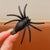 Halloween Cute Funny Women's Spider Alloy Hair Clip