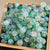 High Quality 8/10mm Protein Jade Broken Water Dyed Glass Bead DIY Handmade Glass Paint Beads Round Beads String Beads Materials