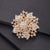 IG Style Shiny Pin Flower Alloy Plating Inlay Rhinestones Unisex Brooches