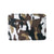 Korean Fashion Creative Camouflage Pu Leather Magic Bag New Zipper Coin Purse Mini Wallet Flip Thin Wallet Wholesale