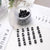 Korean Style Black Women Children's Small Grab Clip Claw Clip Hair Clip Headwear Hair Accessories Hair Grab Bangs Clip Claw Boxed