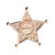 Korean Style Pin Star Flower Alloy Plating Inlay Rhinestones Pearl Unisex Brooches