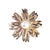 Korean Style Pin Star Flower Alloy Plating Inlay Rhinestones Pearl Unisex Brooches