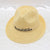 Men's Simple Style Solid Color Big Eaves Straw Hat