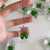 Natural Clover Pendant  Lucky Star Dried Flower Bag Keychain Green Glass Pendant Pendant Ornaments