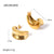 IG Style Irregular Stainless Steel 18K Gold Plated Earrings