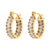 Fashion Circle Geometric Stainless Steel 18K Gold Plated Earrings