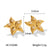 IG Style Starfish Geometric Stainless Steel Electroplating Earrings