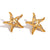 Fashion Star Geometric Stainless Steel Electroplating Stud Earrings