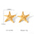 IG Style Starfish Star Geometric Stainless Steel Electroplating Earrings