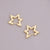 Unisex Metal Star Heart Metal Electroplating Earrings