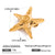 Vacation Starfish Animal Stainless Steel Electroplating Brooches