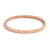 Minimalist Round Circle Stainless Steel 18K Gold Plated Bangles