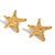 Fashion Star Geometric Stainless Steel Electroplating Stud Earrings